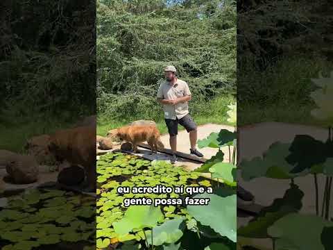 V&iacute;deo 8