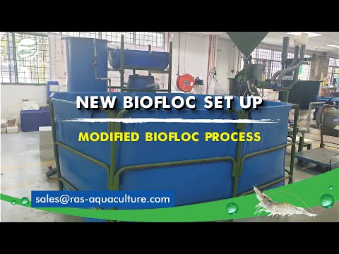 New Biofloc Setup with a Hybrid RAS Technology