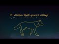 Max Changmin - Gold Dust (English Lyric Video)