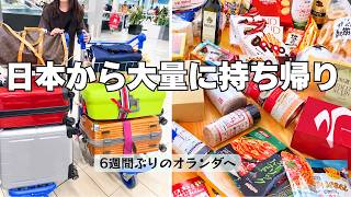久しぶりの我が家と、帰国後3日間の過ごし方【海外主婦の日常】