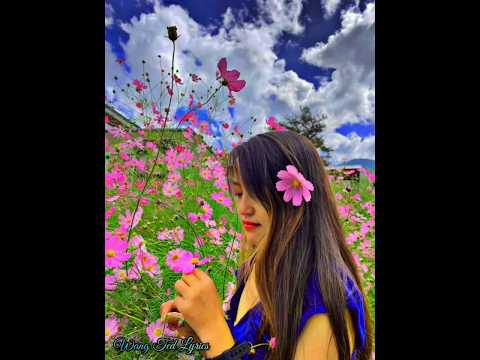 Someone that I needed lyrical song of Jason Ross. subscribe @wangtedmello