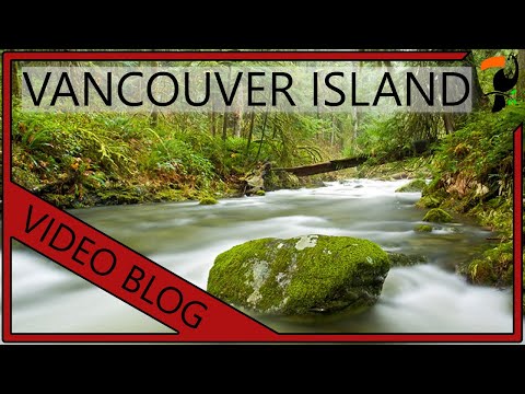 Bird Photography Workshop - Vancouver Island (With Wildlife Photographer Glenn Bartley)