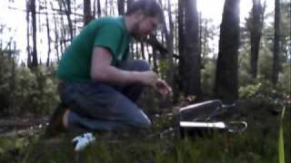 Hook up an Xbox 360 to a Tree