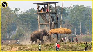 The Most Watched Ben Sojo YouTube Shorts in 2025!