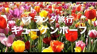 ヨーロッパの車窓から〜キューケンホーフ編〜