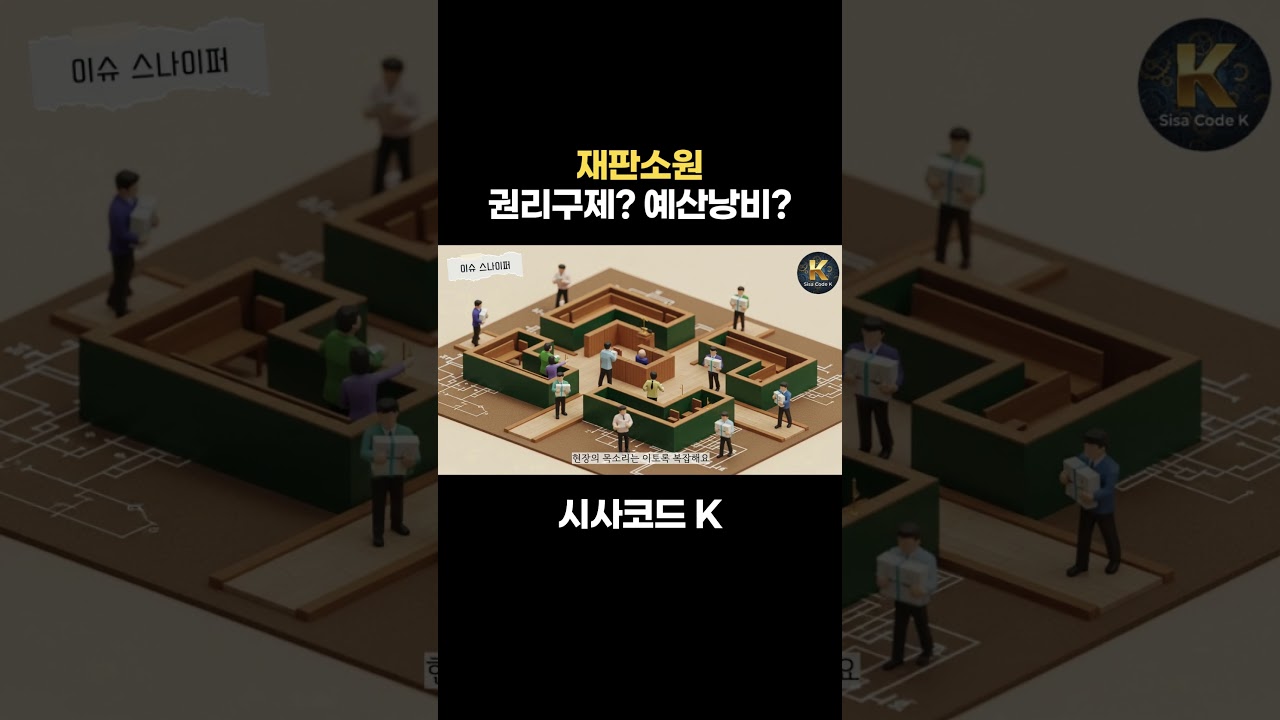 재판소원, 권리구제? 예산낭비?