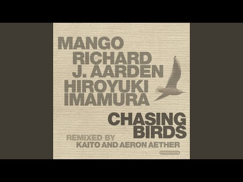 Chasing Birds (Vocal Mix)