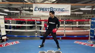 Southpaw Boxing Technique - BASIC FOOTWORK