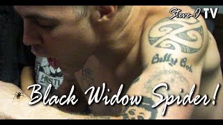 Black Widow Spider! - Steve-O