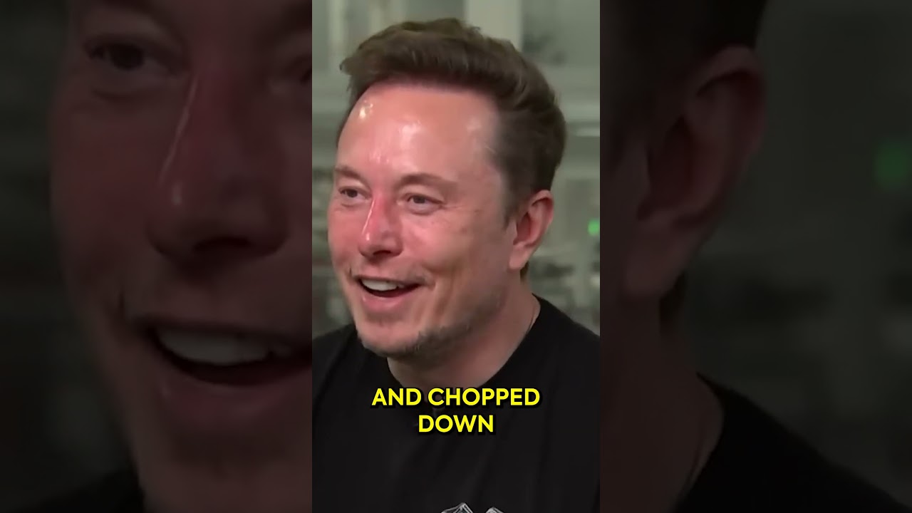 Elon Musk Bids $100b to Take Over OpenAI!