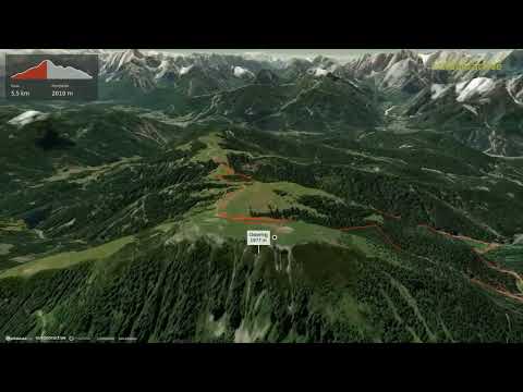 Osternig - Madonna della Neve - Malga Acomizza ∆ hiking trails ∆ 3d-trail.com/italy/