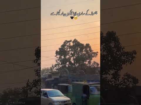 tako pyr kito saaaa ❤️‍🩹#saraikistatus 💕