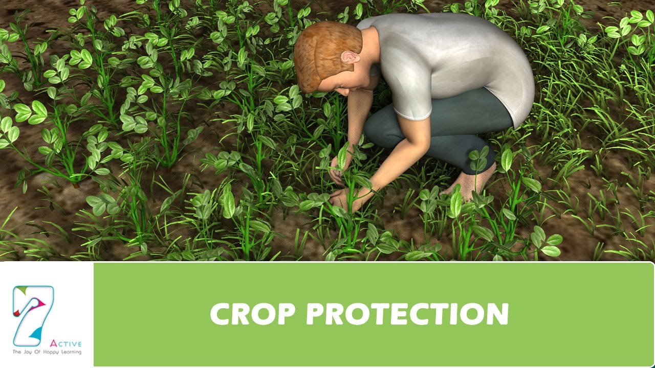 CROP PROTECTION