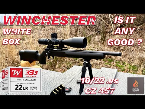 Is It Any Good?  Winchester 22LR T\u0026SG – Chrono, Accuracy, Expansion Tested! (10/22 vs CZ 457)