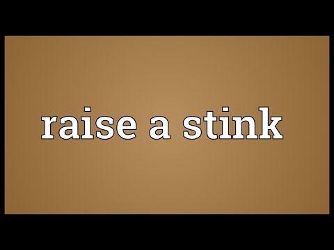 Raise a stink Meaning