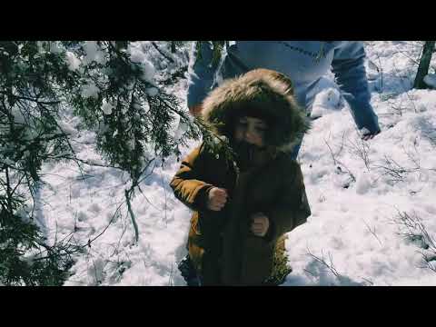 Snow in Mt. Magazine, AR!