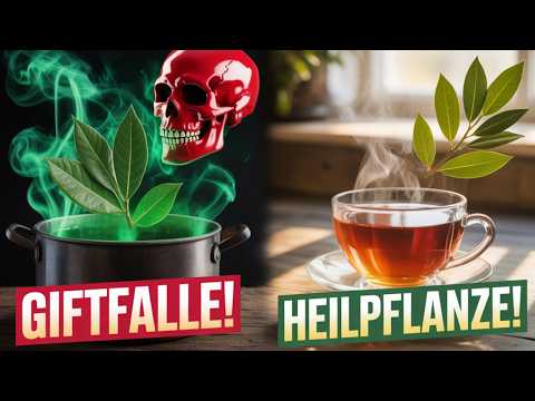 🚨 Keep your hands off the false laurel – it’s life-threatening in the garden!