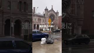 海外 | ニューヨーク 連続夏日の後に雪が降る #ニューヨーク #海外生活 #アメリカ生活