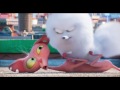 The Secret Life Of Pets Gidget Interrogates Ozone Clip