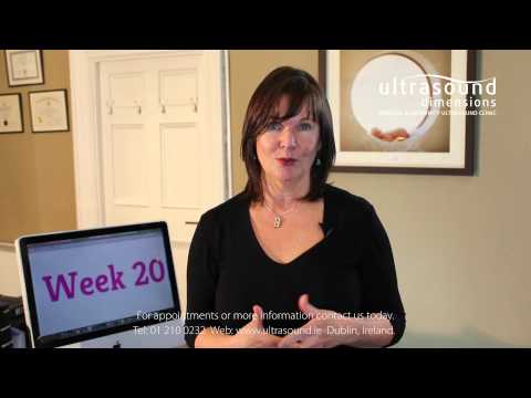 20 Weeks Pregnant - Your 20th Week Of Pregnancy