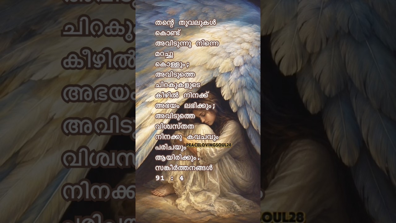 ✨സങ്കീര്‍ത്തനങ്ങള്‍ 91 : 4✨