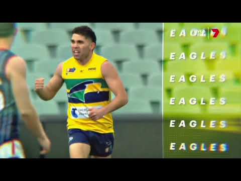 EAGLES - BACK TO BACK PREMIERSHIPS