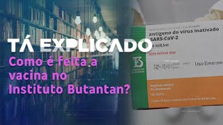 Como é fabricada a vacina contra a Covid-19 no Instituto Butantan | Tá Explicado