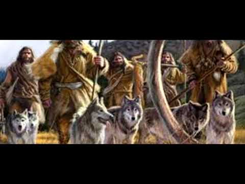 Cum au evoluat asezarile umane?