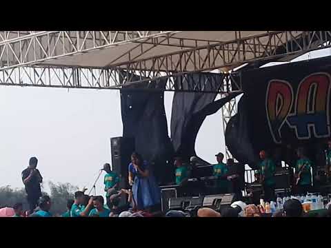 New palapa - racun asmara live panbers