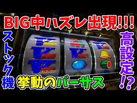 バーサスの動画