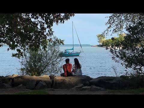 Ollie - Better in the End