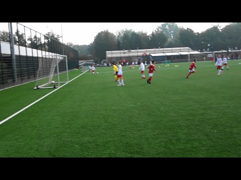 Tweede helft Valleivogels JO11-3 - DOVO JO11-3