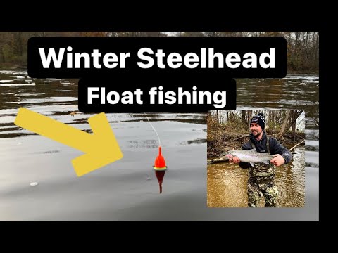 Winter Steelhead fishing! BOBBER DOWN ACTION!