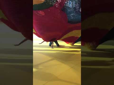 Play structure, Toshi nets !