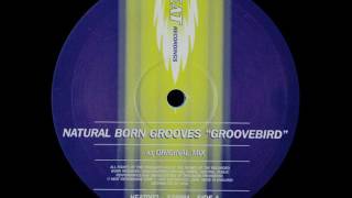 Natural Born Grooves - Groovebird (Original Mix) 1996