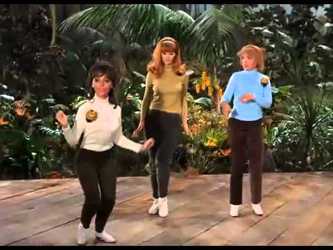 Gilligan's Island , The Honey Bees You Need Us