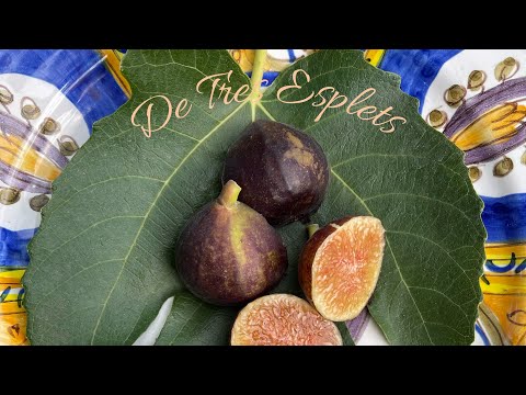 De Tres Esplets fig tasting