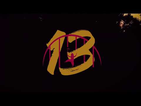 Official Bhangra in the Burgh 13 Lineup