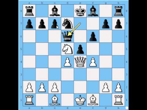 Najstariji zapisi i partije - DAMIANO vs NN - Petrova odbrana  # 533