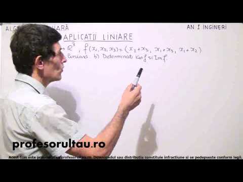 30   Aplicatii liniare   partea 2 - profesorultau.ro