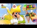 Super Mario 3D World Chain Link Charge Remix SM64 Edition