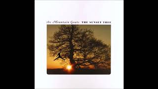 This Year/Space Jam Theme (Mashup) - The Mountain Goats/Quad City DJ&#39;s (by piratecovejoe)