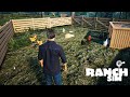 AKHIRNYA KANDANG AYAM IMPIANKU SELESAI! Ranch Simulator GAMEPLAY #2