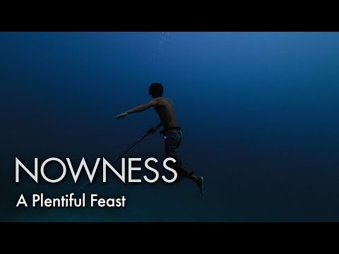 A Plentiful Feast: a film about marine pollution