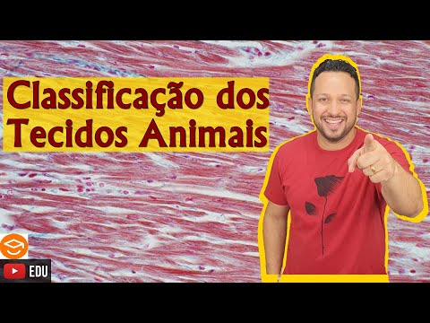 Classification of Animal Tissues - Types of Animal Tissue - Animal Histology