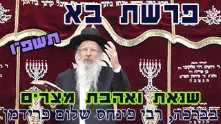 פרשת בא תשפו-הרב פינחס שלום פרידמן-שנאת ואהבת מצרים
