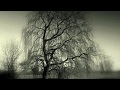 Weeping (lyrics included)