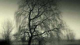 Weeping (lyrics included)