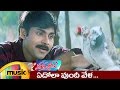Thammudu Telugu Movie Songs Edola Vundi Music Video Pawan Kalyan Preeti Mango Music