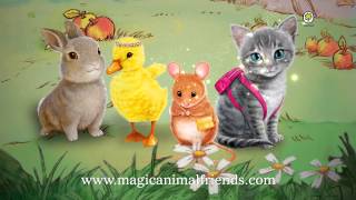 All the Magic Animal Friends Books in Order | Toppsta
